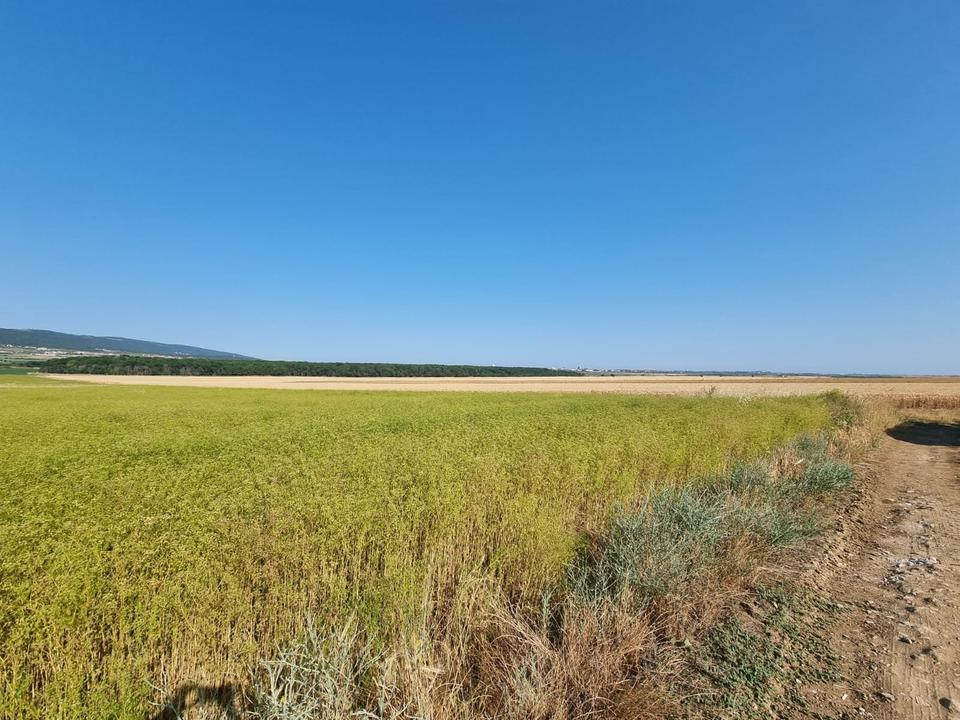 Grundstück im Dorf Tankovo Region Burgas Bulgarien – Bild 3