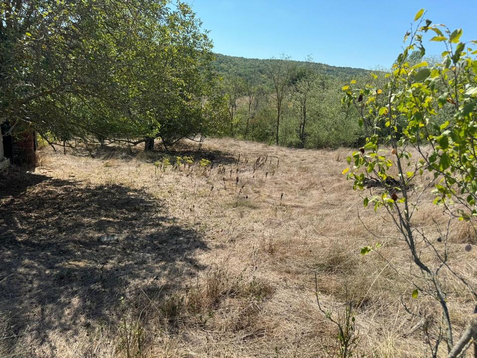 Großes Grundstück mit einem Abrisshaus in Sredets Bulgarien – Bild 14