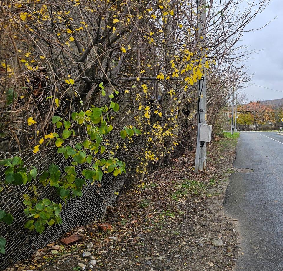 Baugrundstück in Kosharitsa Bulgarien – Bild 3