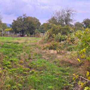 Bulgarien Gulovtsa Grundstück zum Verkauf im Dorf Gulovtsa – eine ausgezeichnete Investition!