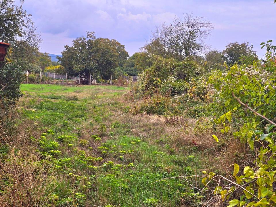 Bulgarien Gulovtsa Grundstück zum Verkauf im Dorf Gulovtsa – eine ausgezeichnete Investition!