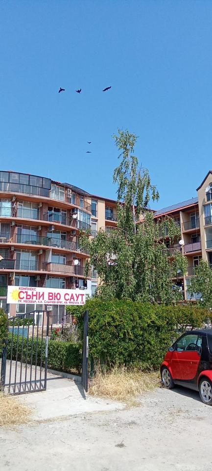 2 Zimmer Wohnung Sunny View South Sunnybeach Bulgarien – Bild 9