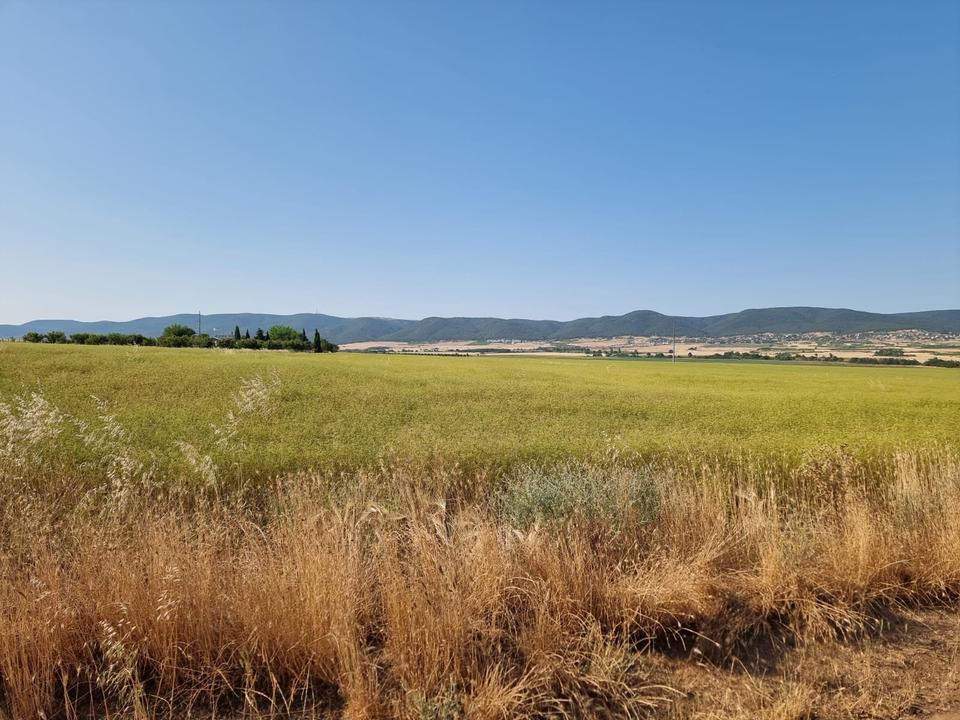 Grundstück im Dorf Tankovo Region Burgas Bulgarien – Bild 7