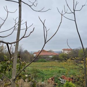 Baugrundstück in Kosharitsa Bulgarien