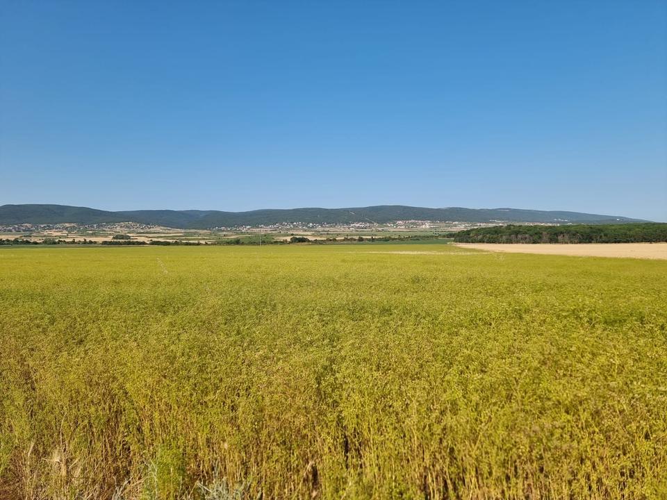 Grundstück im Dorf Tankovo Region Burgas Bulgarien – Bild 8