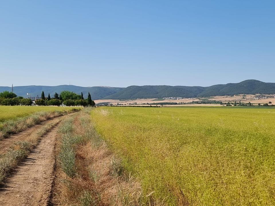 Grundstück im Dorf Tankovo Region Burgas Bulgarien – Bild 6
