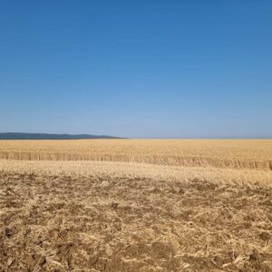 Grundstück in der Nähe von Tankovo Region Burgas Bulgarien