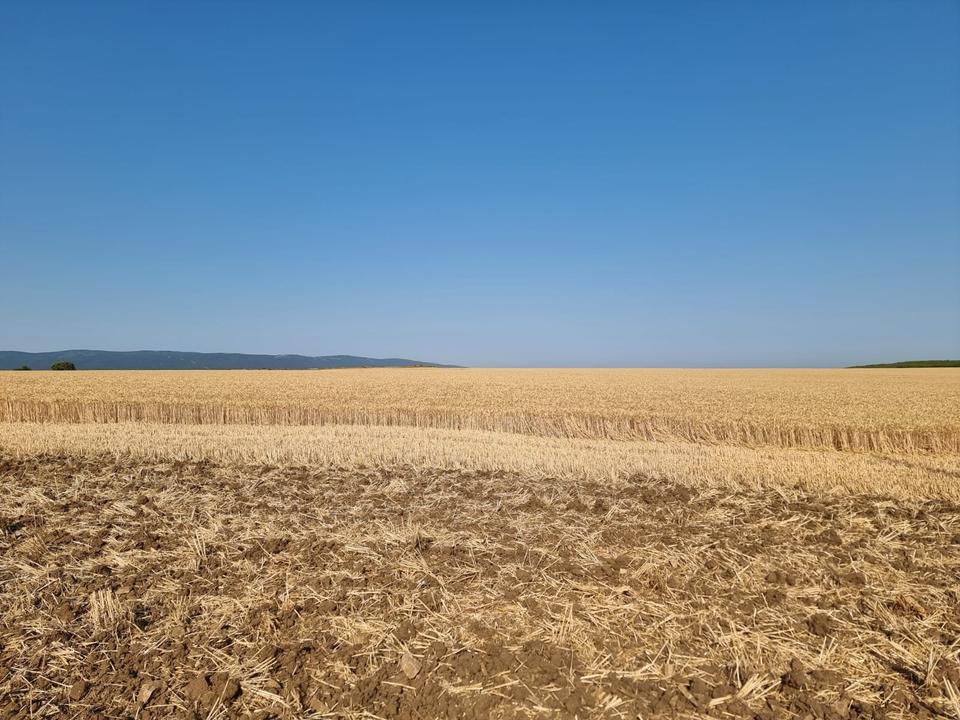 Grundstück in der Nähe von Tankovo Region Burgas Bulgarien