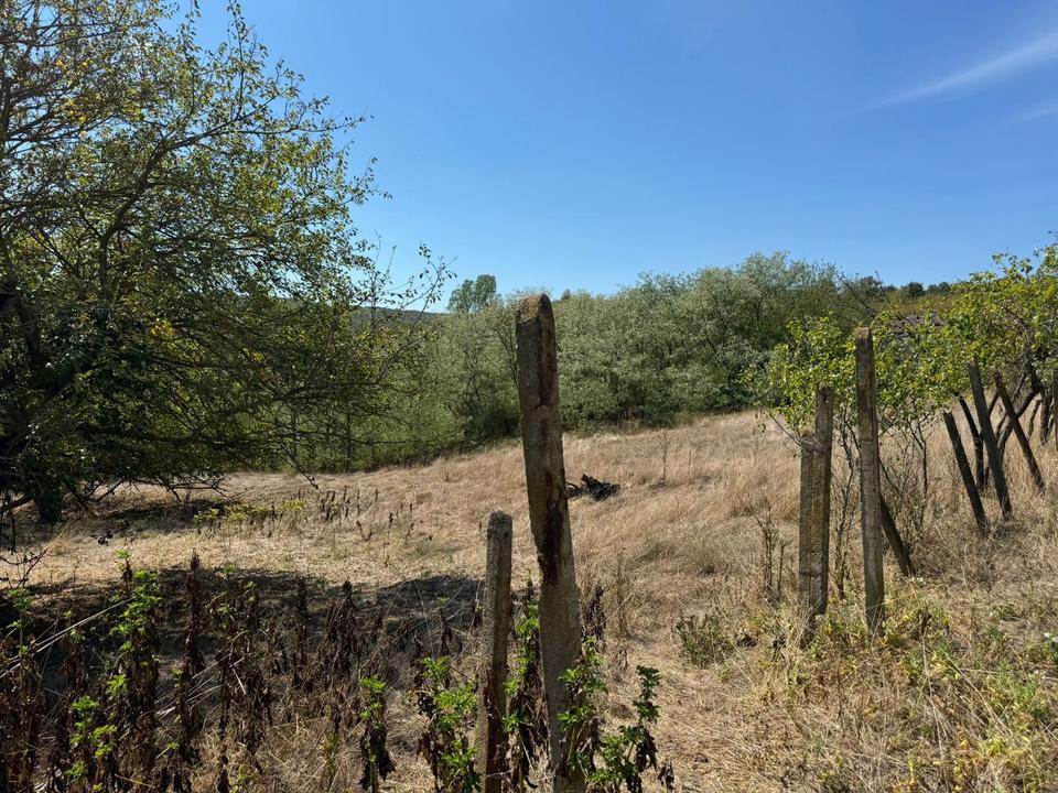 Großes Grundstück mit einem Abrisshaus in Sredets Bulgarien – Bild 11