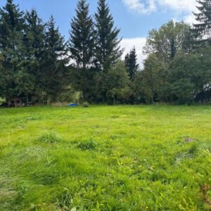 Schönes Baugrundstück in Oberwiesenthal!