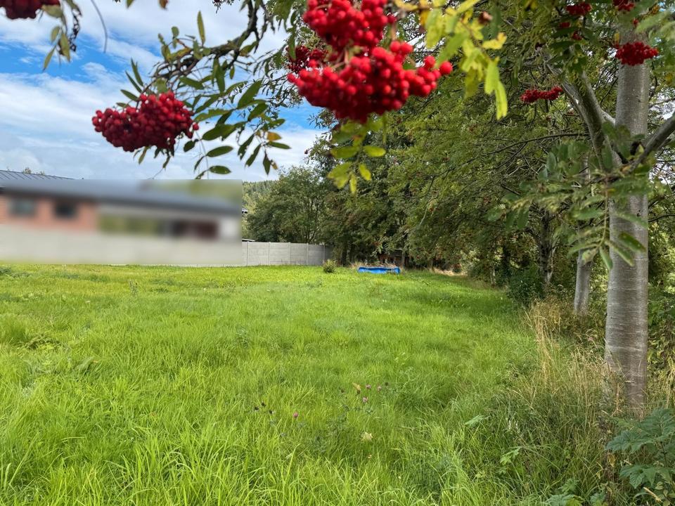 Schönes Baugrundstück in Oberwiesenthal! – Bild 7