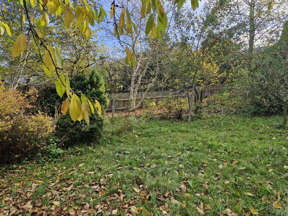 Großes Grundstück, ruhige Lage, viel Potenzial – Doppelhaushälfte in Pockau! – Bild 7