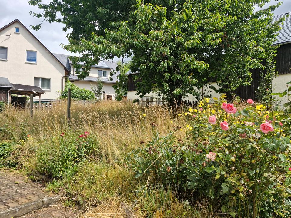 Großzügiges Einfamilienhaus in ruhiger Lage von Großolbersdorf! – Bild 4