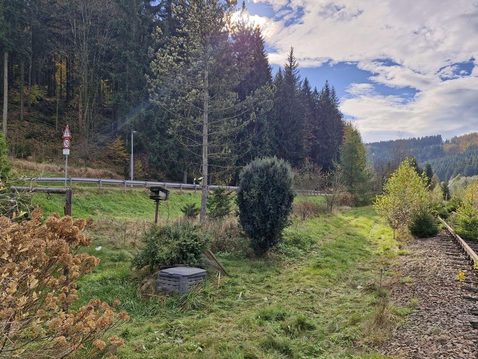 Wohnen, ankommen, wohlfühlen! – Einfamilienhaus in Heidersdorf! – Bild 8