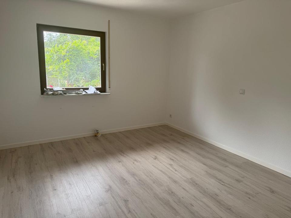 2025 Komplettmodernisierung! Tolles Anwesen aus EFH, Nebengebäude und sensationellem Grundstück! – Bild 20