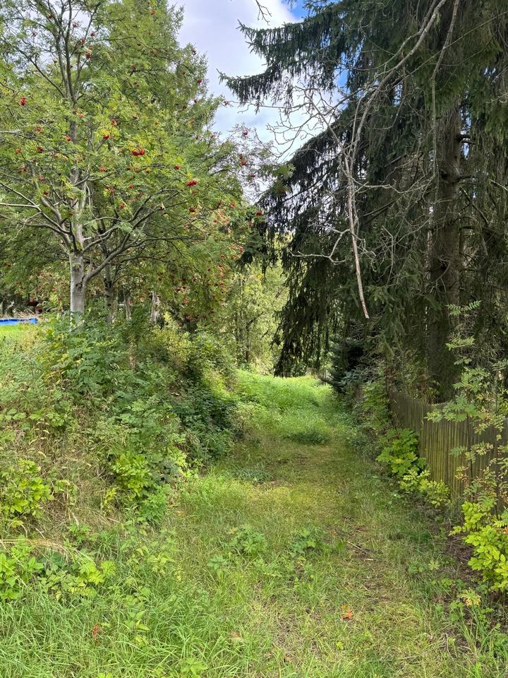 Schönes Baugrundstück in Oberwiesenthal! – Bild 8