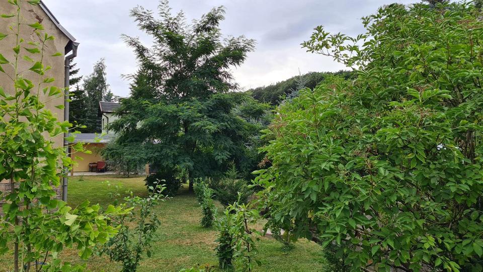 Ideales Mehrgenerationenhaus zum sofortigen Einzug und zum noch verwirklichen! – Bild 6