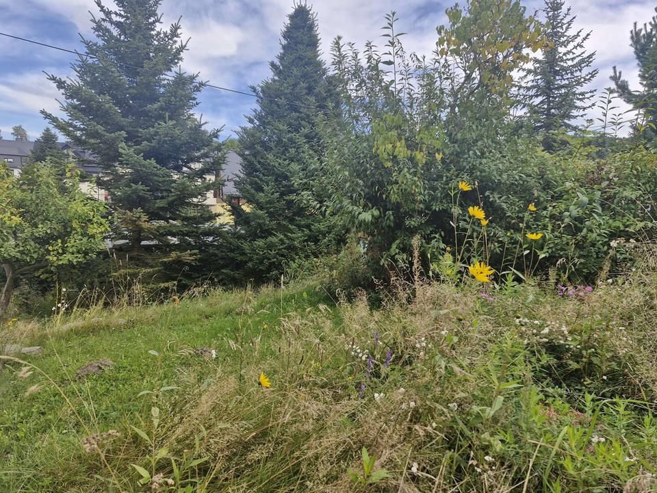 Kleine aber feine Doppelhaushälfte in Sehma! – Bild 5