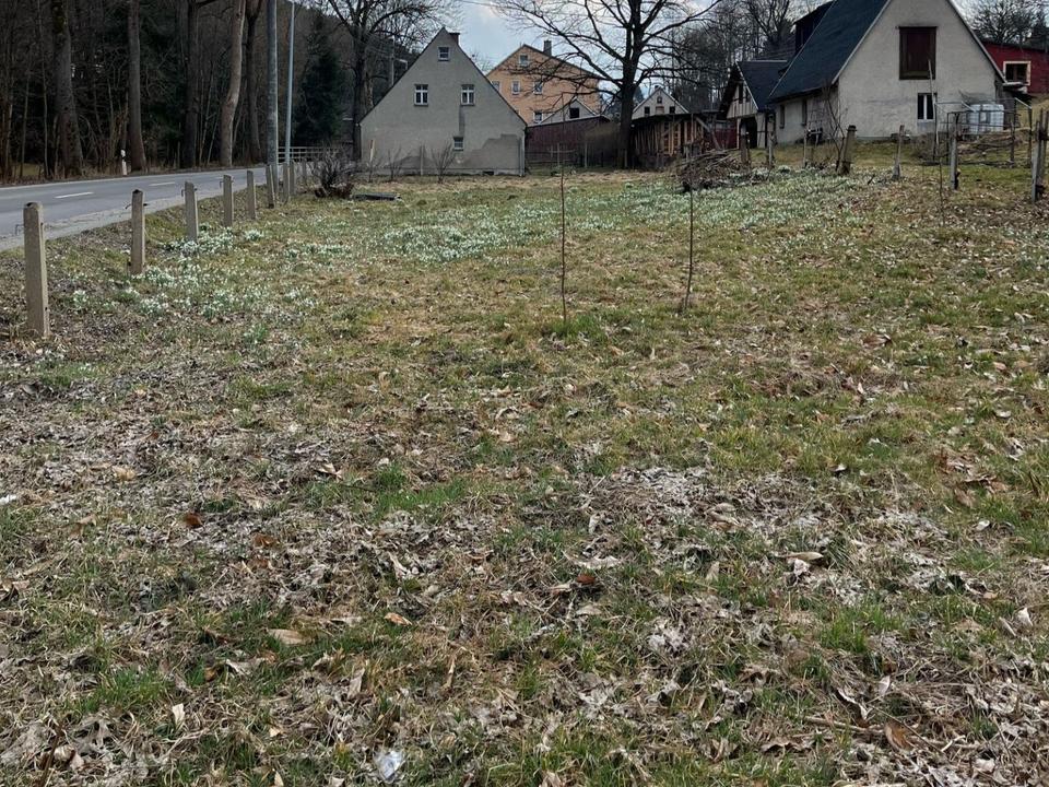 Baugrundstück mit Einfamilienhaus im schönen Sehmatal! – Bild 17