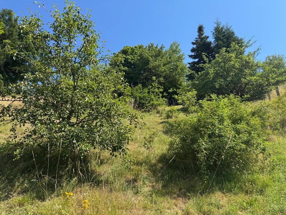 Hier können Sie sich noch nach Ihren Wünschen verwirklichen ! – Bild 15