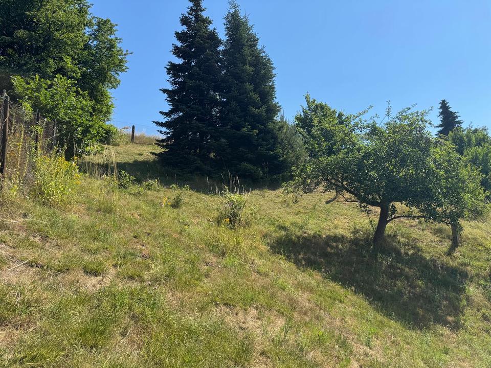 Hier können Sie sich noch nach Ihren Wünschen verwirklichen ! – Bild 14