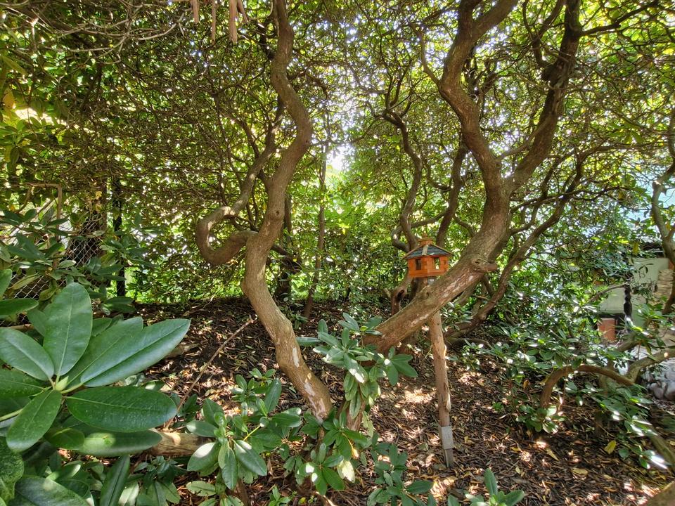 Viel Platz für die ganze Familie - schönes Haus in Zschorlau! – Bild 5