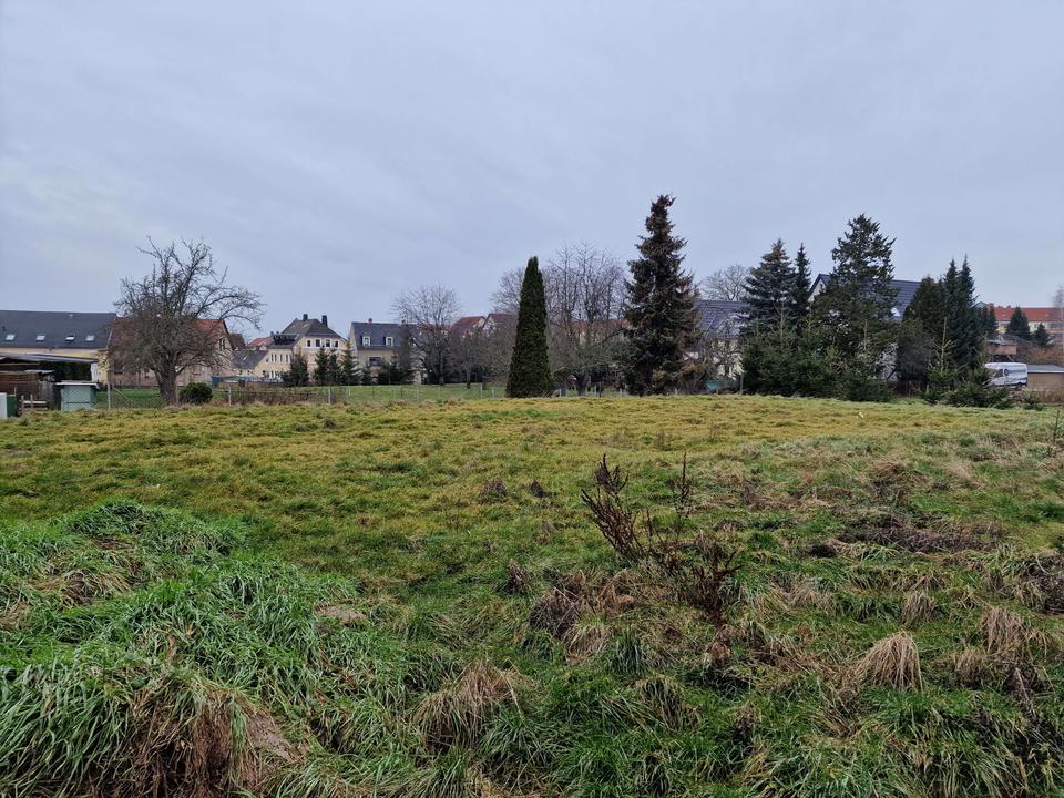 Verpassen Sie Ihrem neuen Zuhause den letzten Feinschliff! – Bild 6