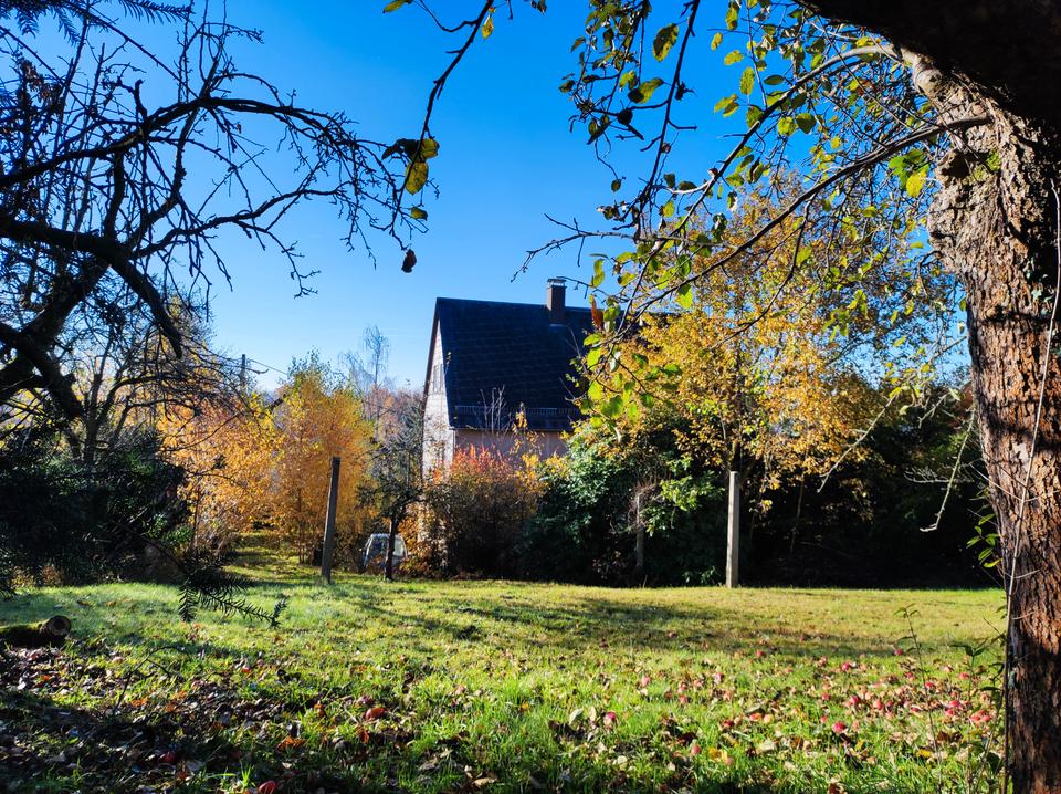 Sonniges Grundstück mit toller Aussicht in Stadtrandlage von Chemnitz – Bild 5
