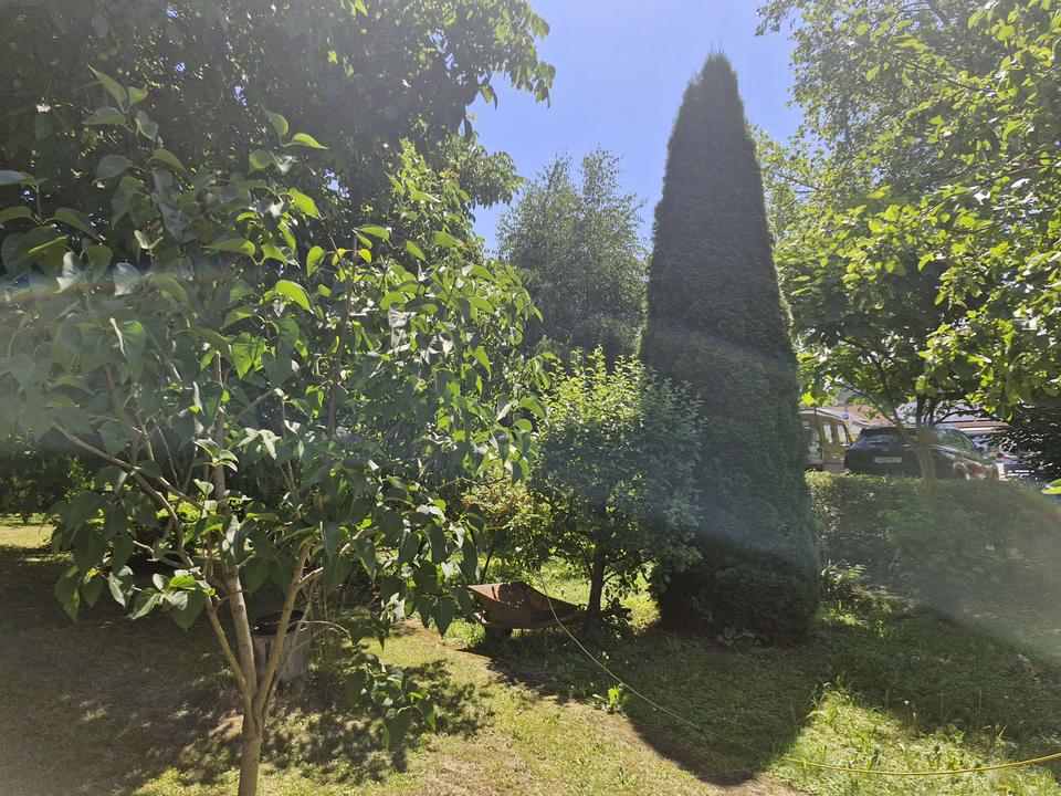 Großes Mehrgenerationenhaus in Chemnitz! – Bild 14