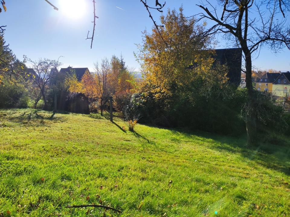 Sanierungsobjekt in toller Stadtrandlage von Chemnitz – Bild 20