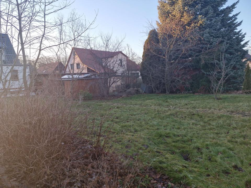 Ihr neues Zuhause in Vielau! – Bild 8