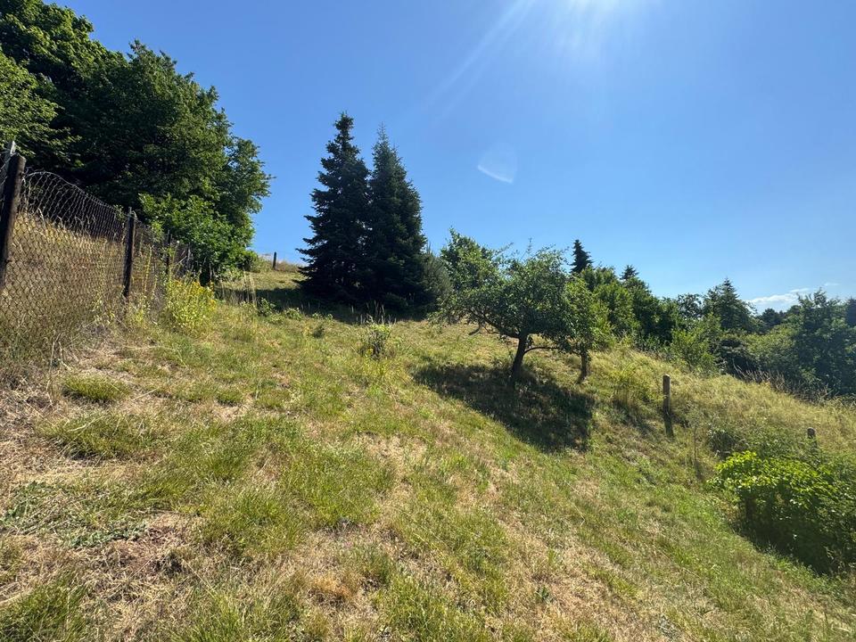 Hier können Sie sich noch nach Ihren Wünschen verwirklichen ! – Bild 17