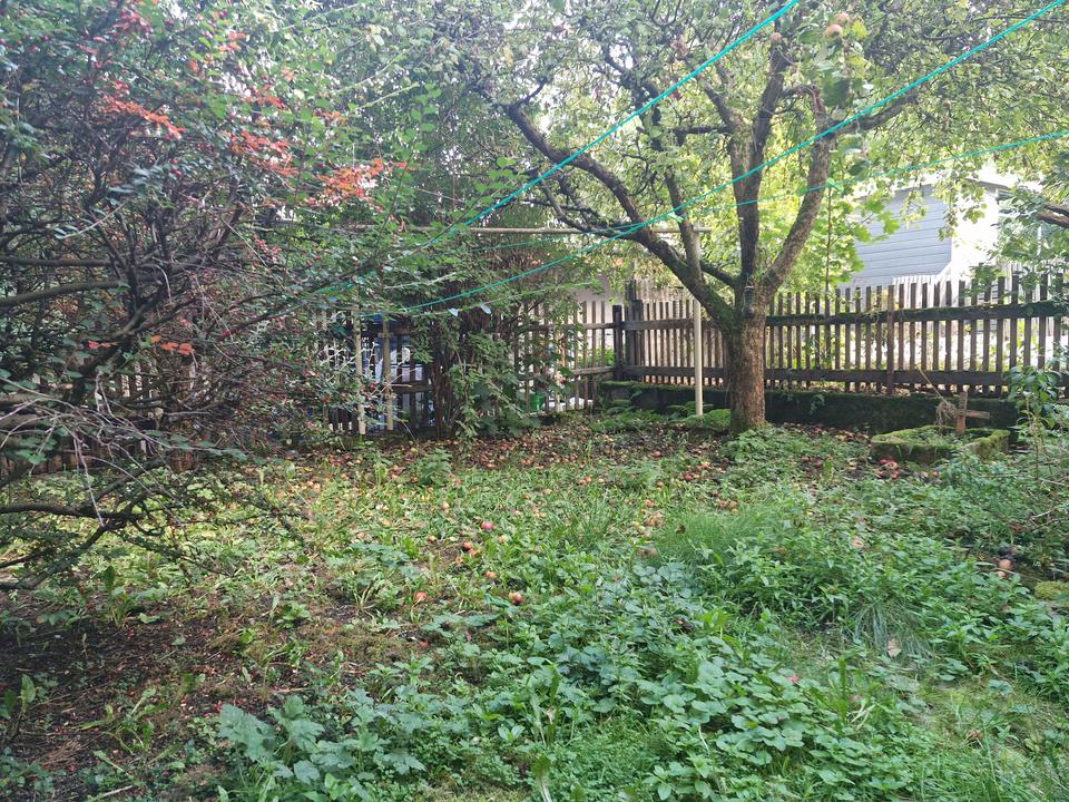 Wohn- und Geschäftshaus mit Charakter – zum kleinen Preis in Ehrenfriedersdorf! – Bild 8