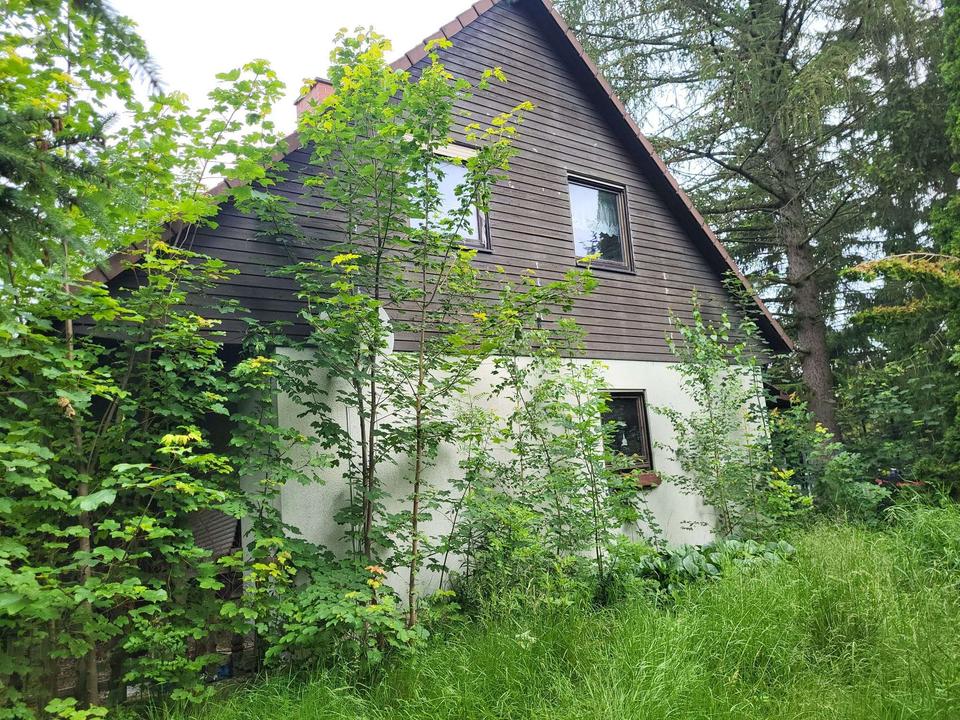 Verwirklichen sie ihren Traum! Ihr neues Haus in grüner und ruhiger Lage! – Bild 4