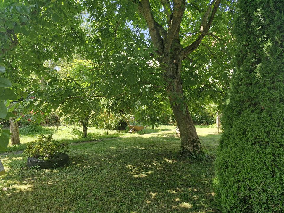 Großes Mehrgenerationenhaus in Chemnitz! – Bild 12