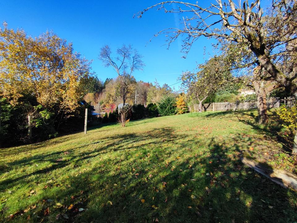 Sanierungsobjekt in toller Stadtrandlage von Chemnitz – Bild 19