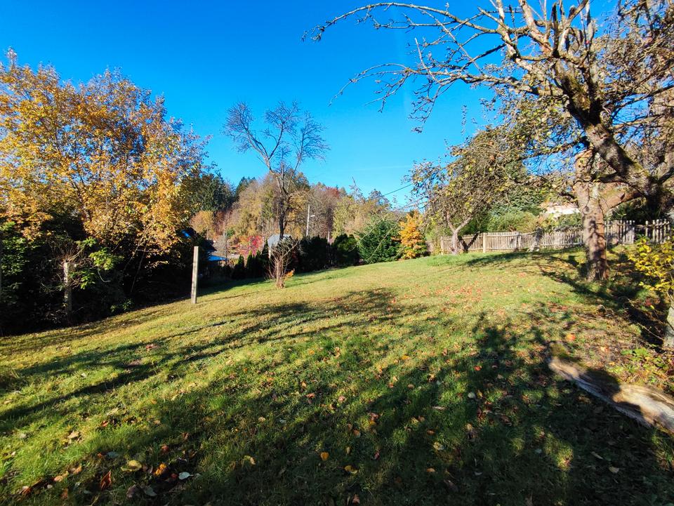 Sonniges Grundstück mit toller Aussicht in Stadtrandlage von Chemnitz – Bild 2