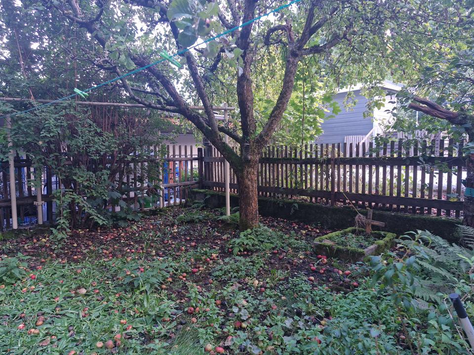 Wohn- und Geschäftshaus mit Charakter – zum kleinen Preis in Ehrenfriedersdorf! – Bild 7