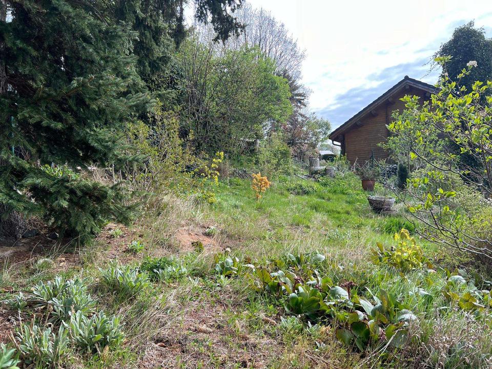 Idyllisch wohnen mit tollem Ausblick ins Grüne ! – Bild 19