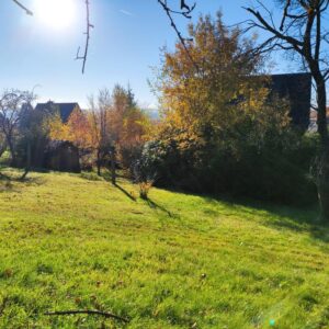 Sonniges Grundstück mit toller Aussicht in Stadtrandlage von Chemnitz